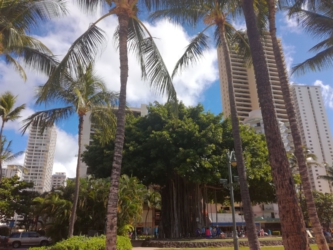 Honolulu - Ohau - Waikiki